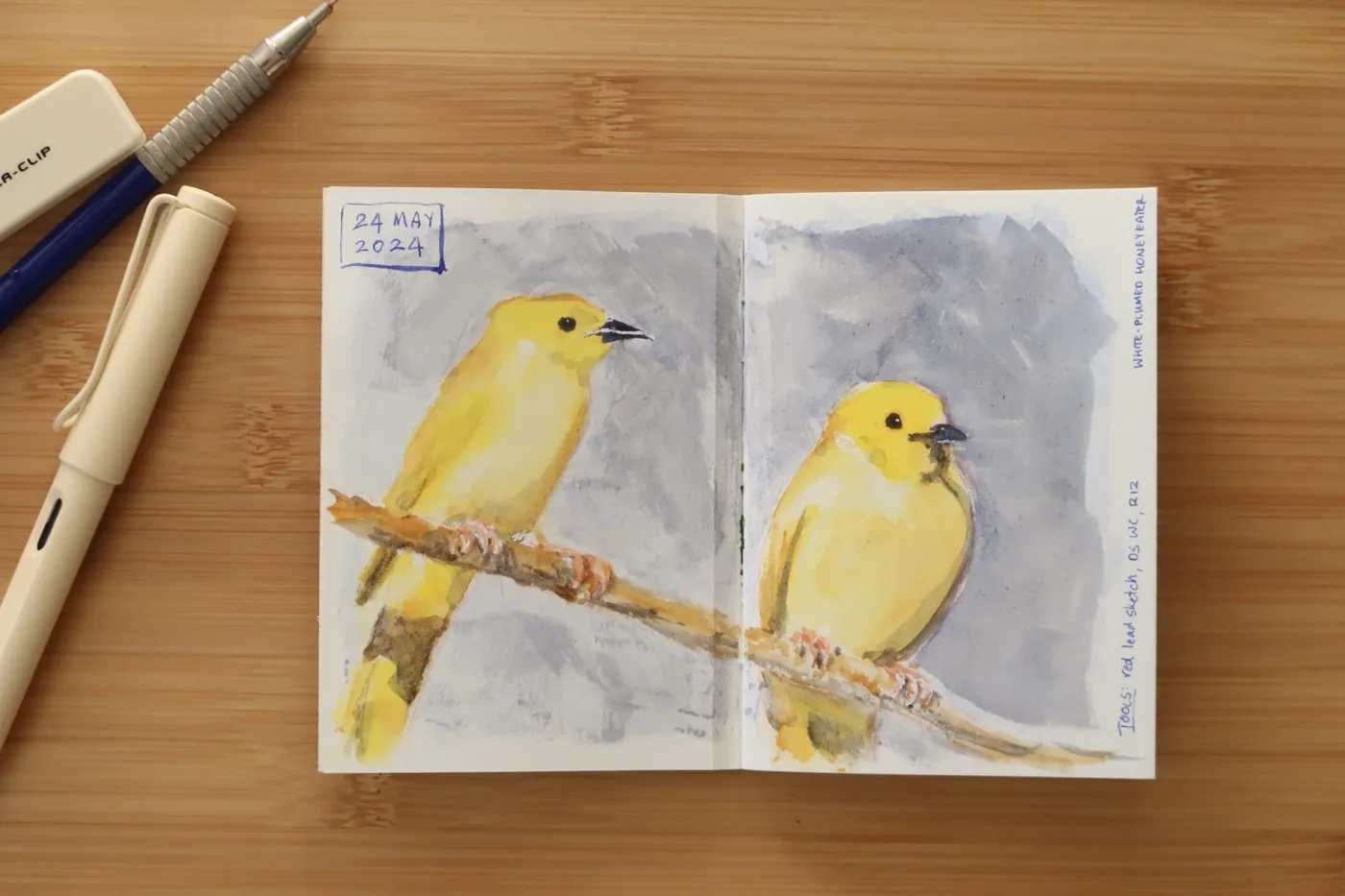 Watercolour sketches of birds