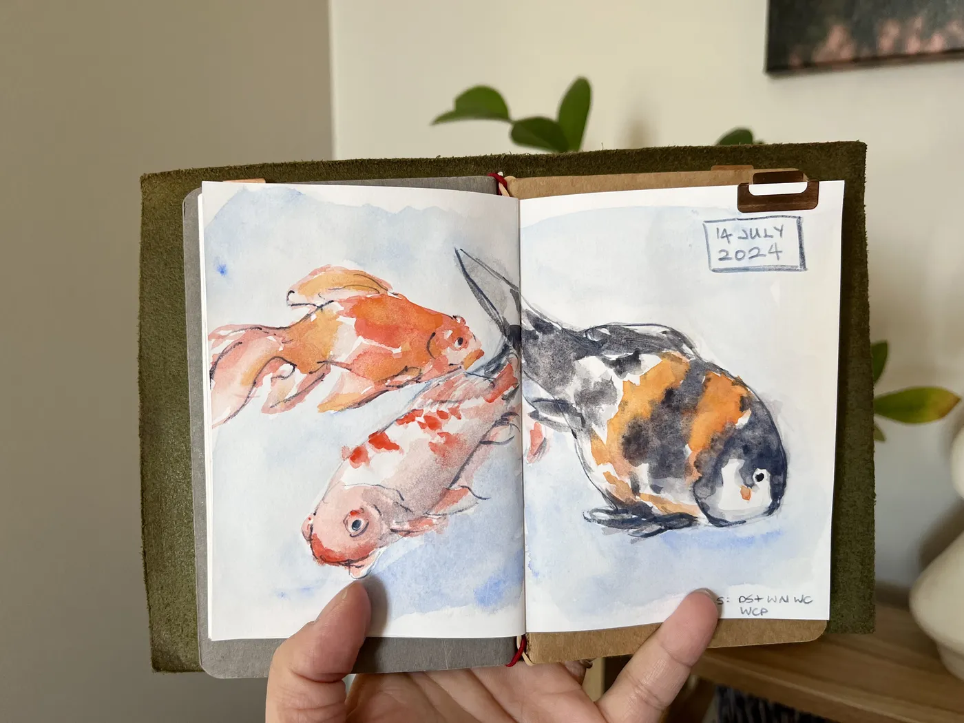 Watercolour painting of koi fish