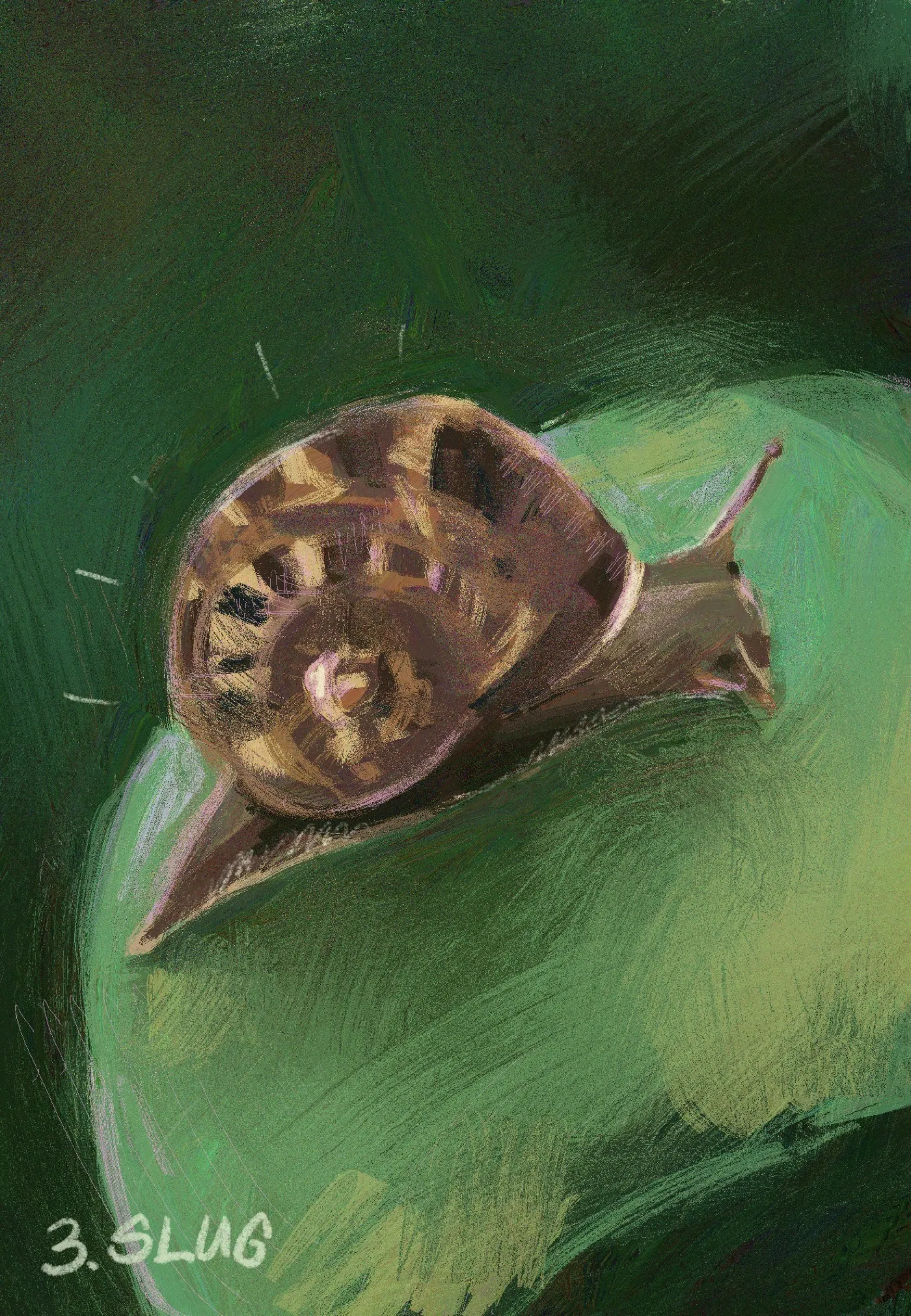 Digital sketch of a snail