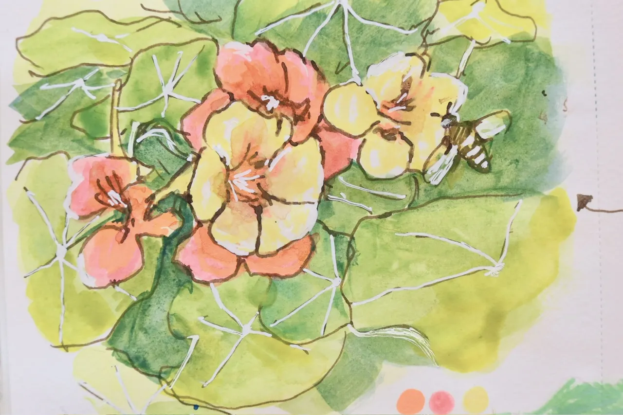 watercolour and ink painting of a bee and flowers