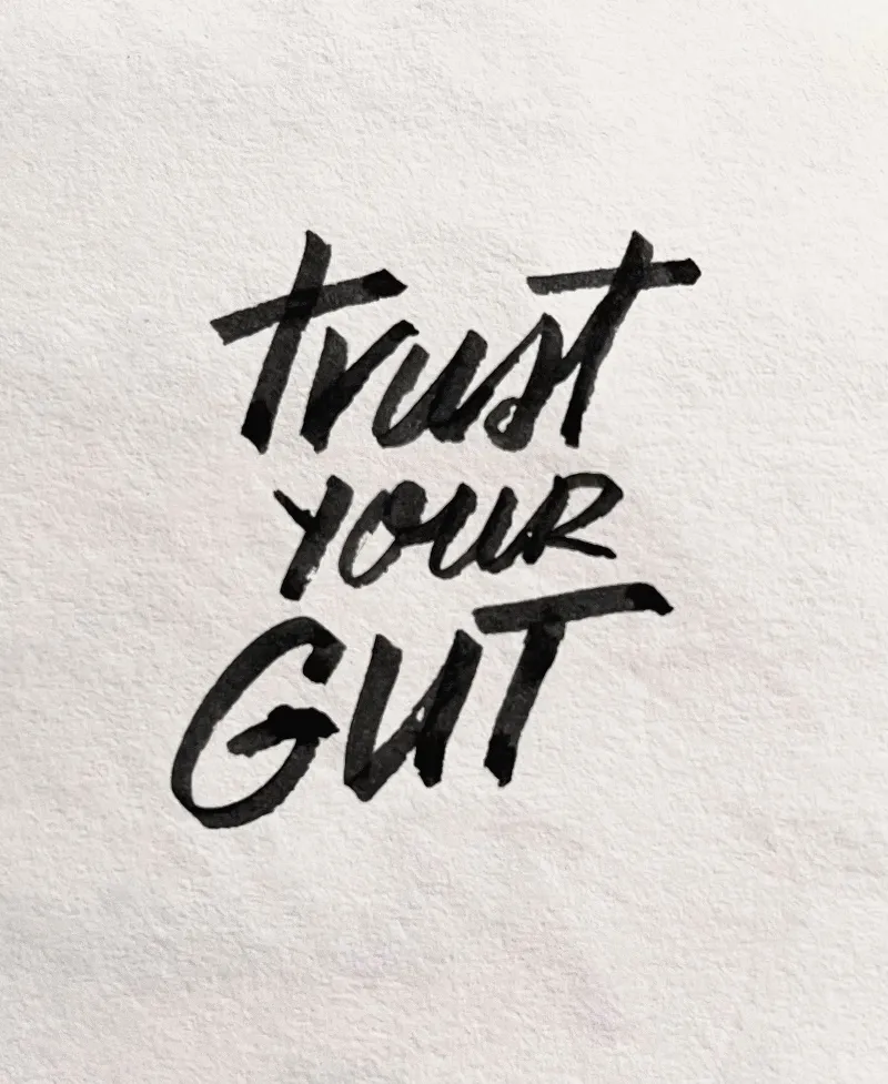 brush lettering: trust your gut |400