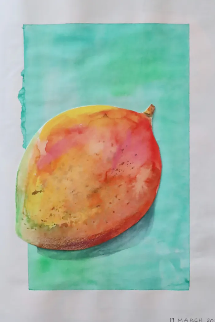 mangoes in watercolour
