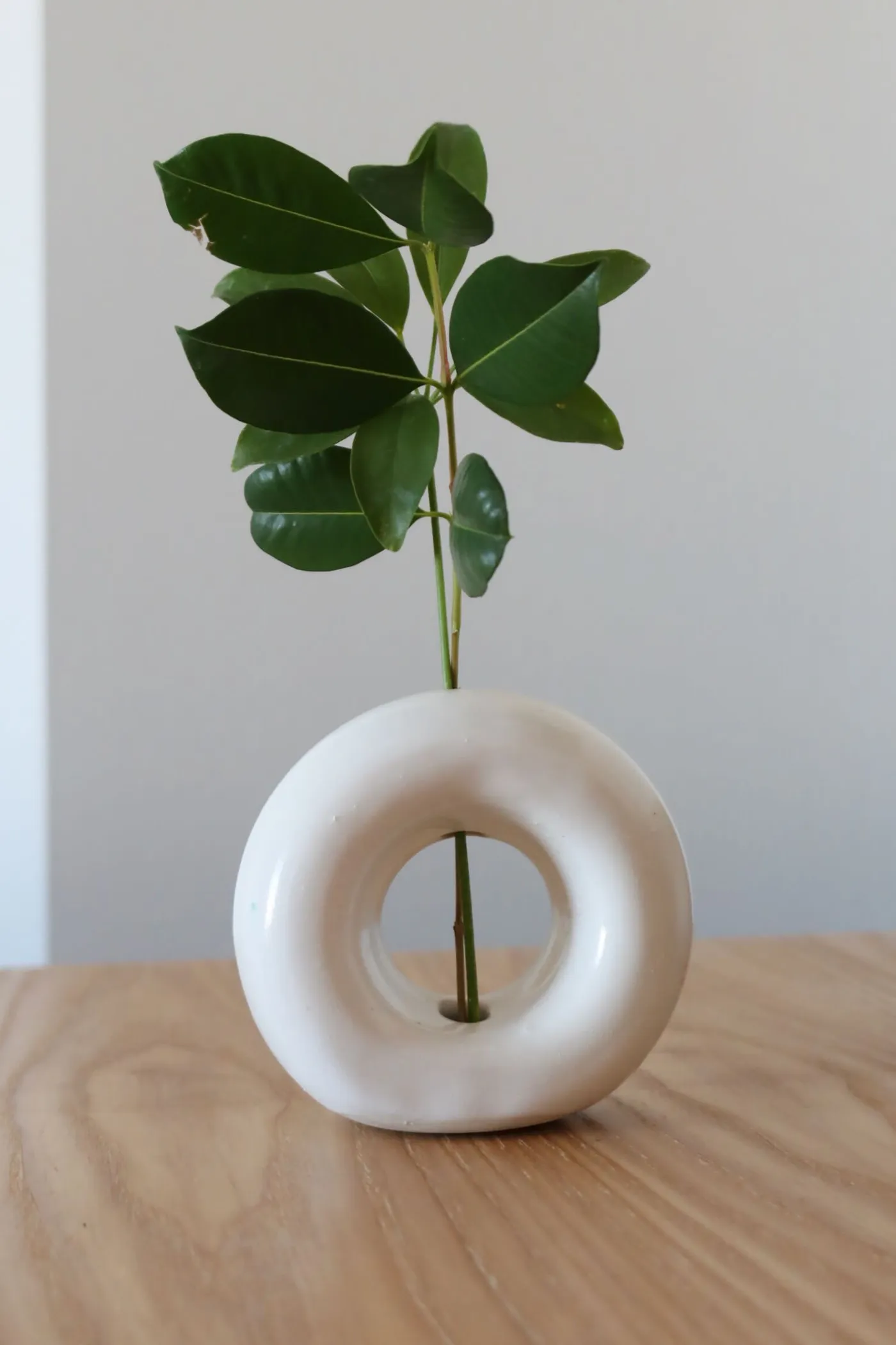 Photo of a ceramic vase shaped like a donut with a stem in it"