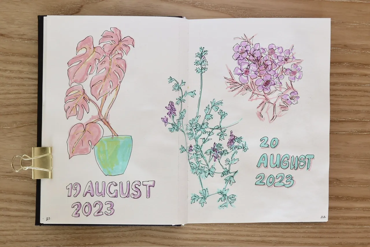 highlighter and pen sketches of plants