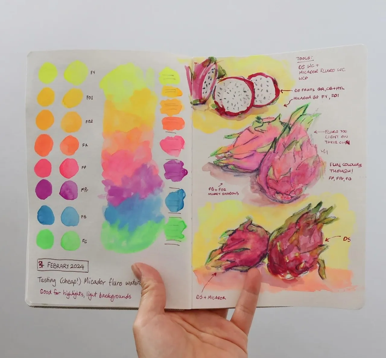 photo of a hand holding a sketchbook with fluoro colour swatches and paintings of dragonfruit in bright colours