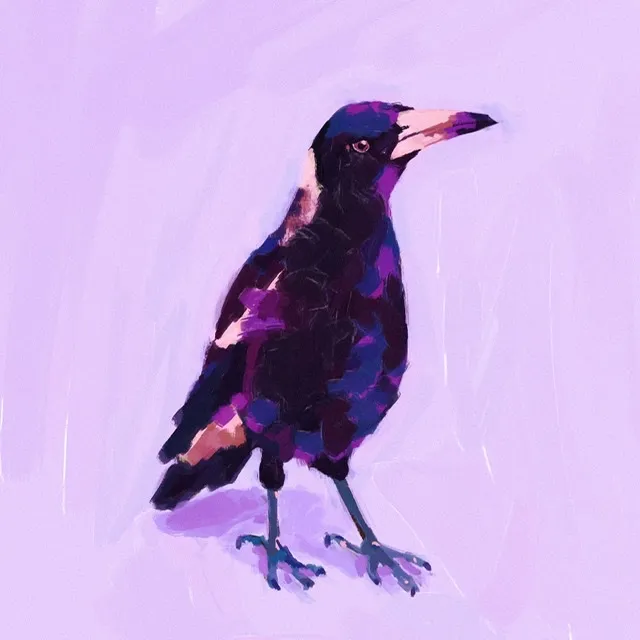 digital painting of a magpie
