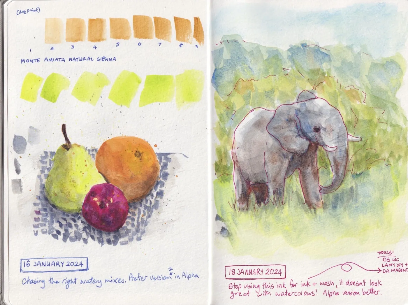 Watercolour sketch