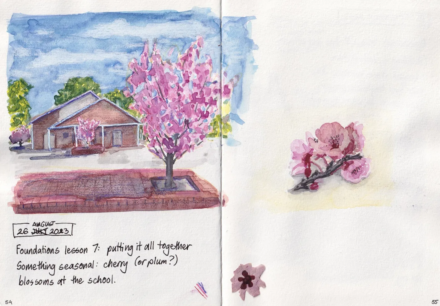 watercolour sketch of cherry blossoms at my son's school