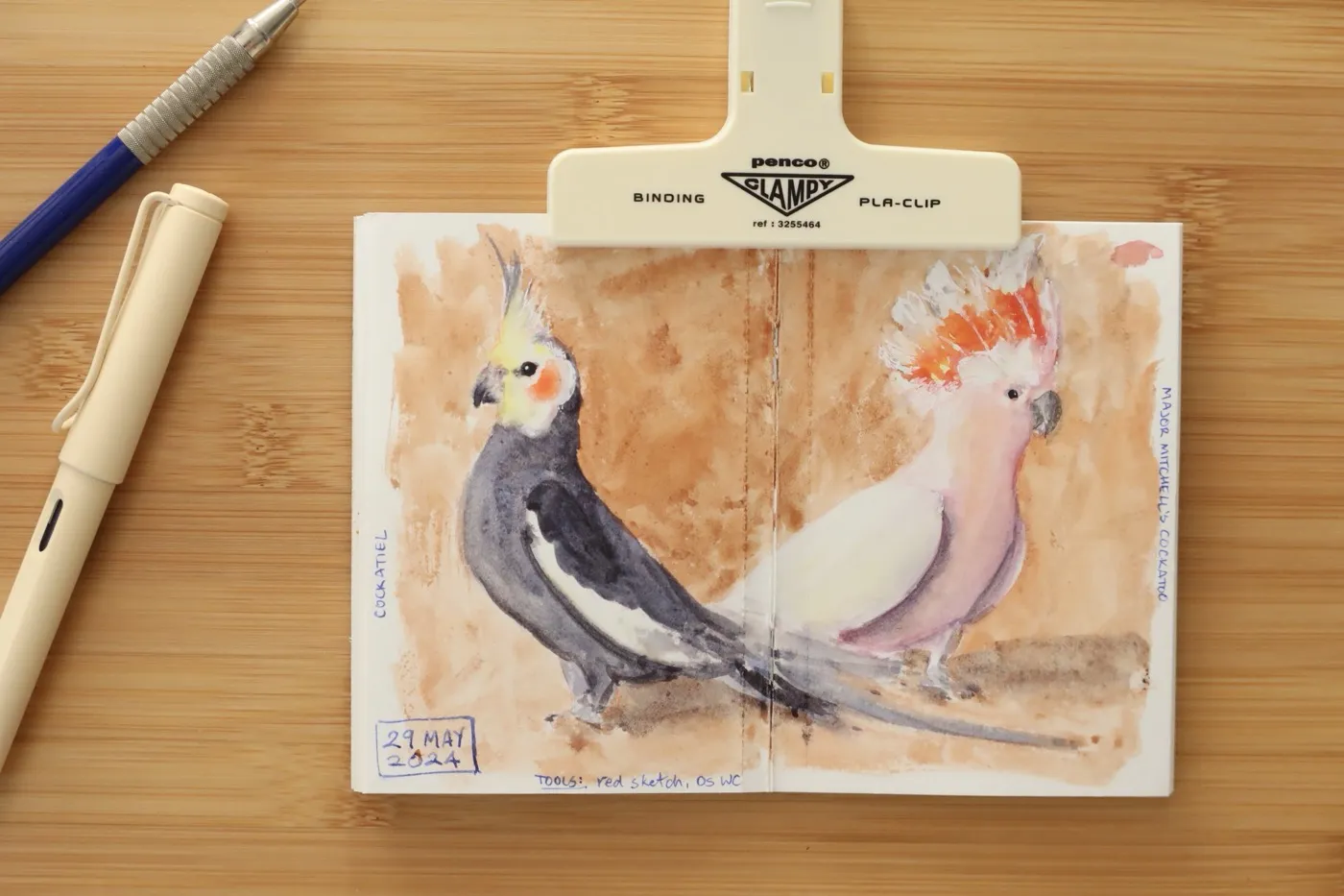 Watercolour sketches of birds