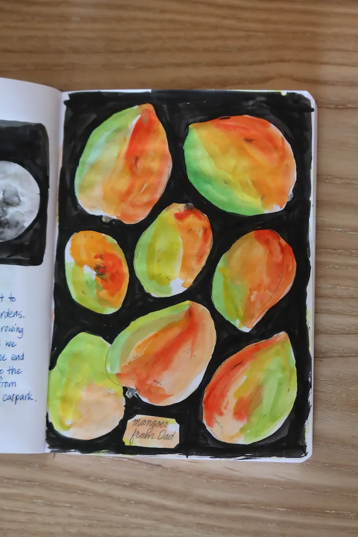 mangoes in watercolour