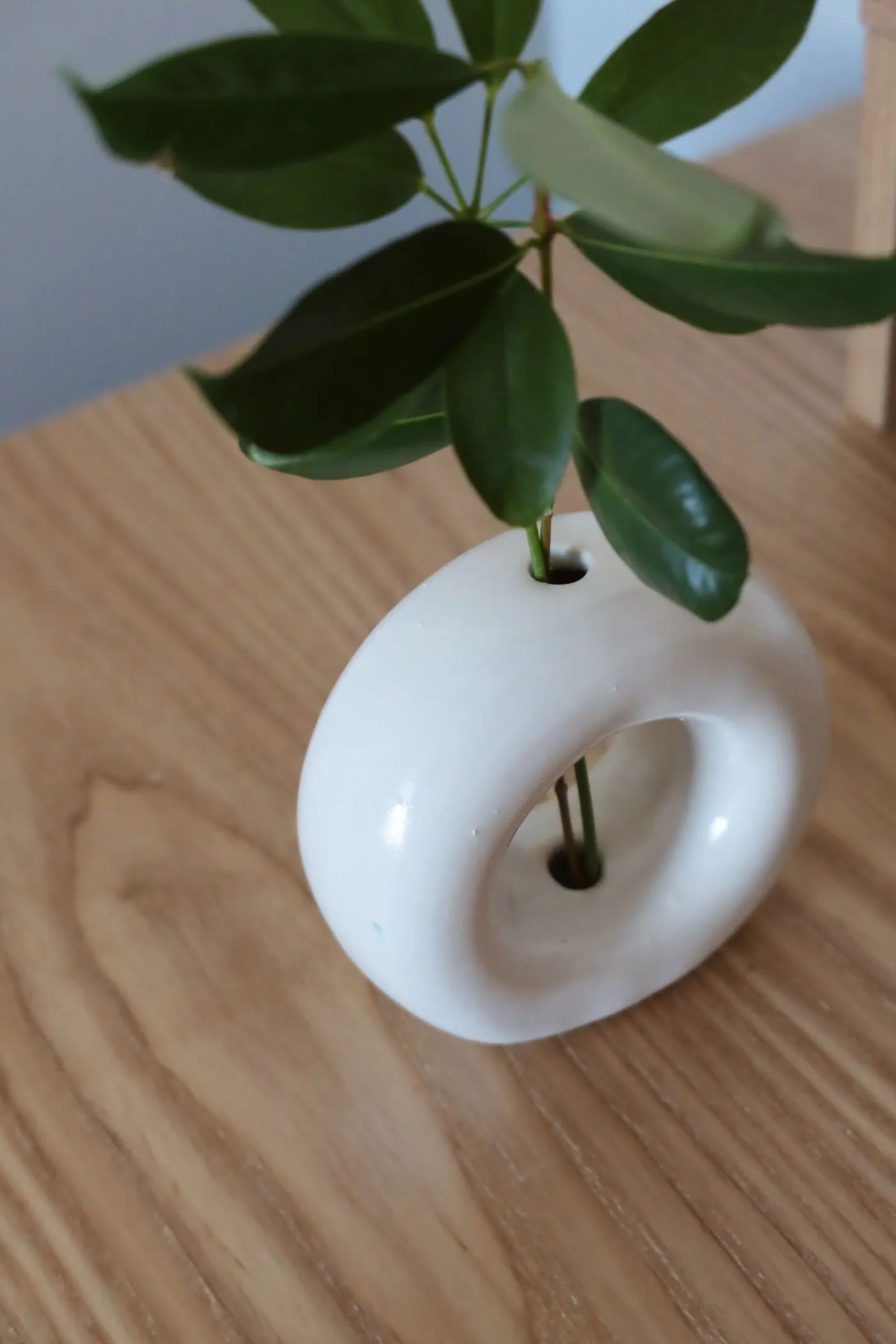Photo of a ceramic vase shaped like a donut with a stem in it