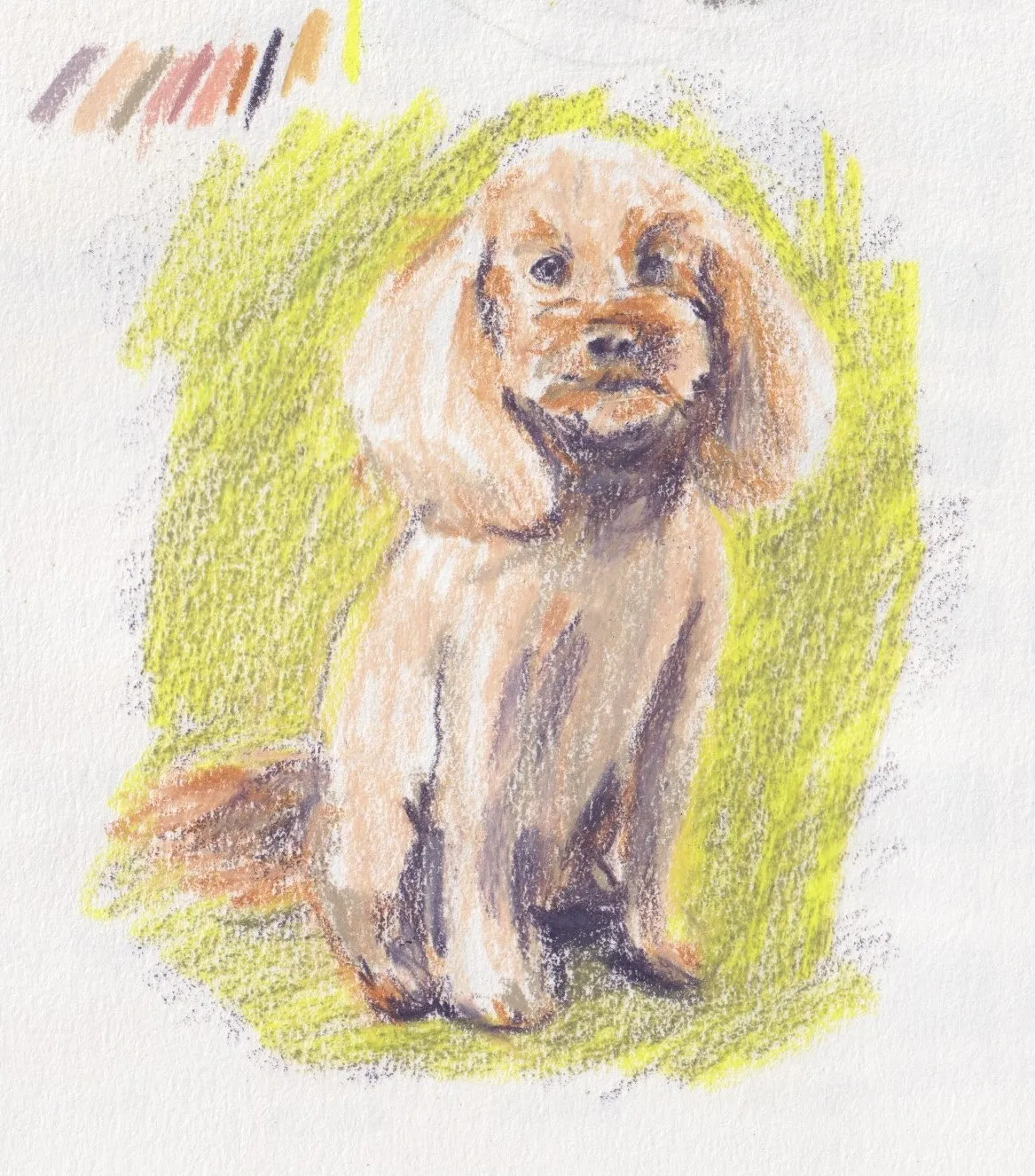 Pencil sketch of my dog
