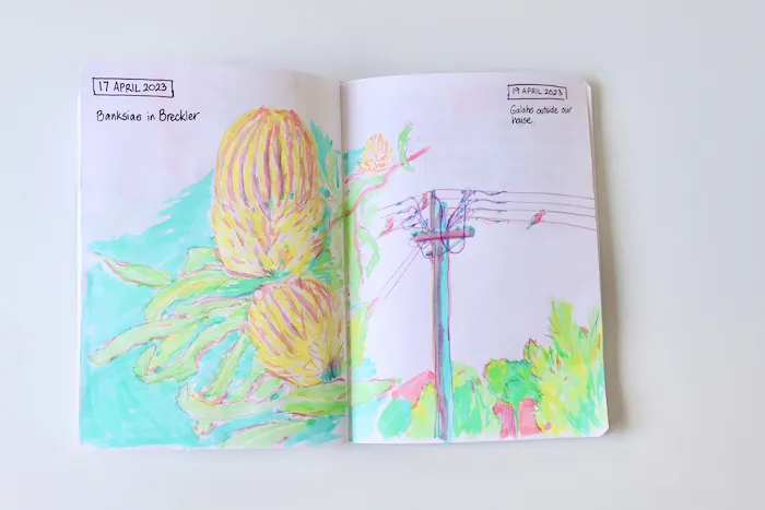 Photo of my sketchbook, showing highlighter sketches of banksias and birds on power lines