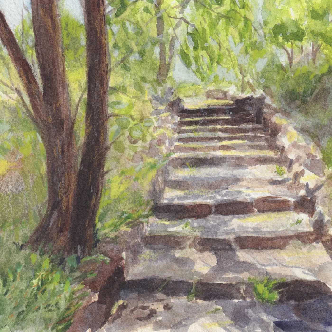 Steps at John Forrest National Park