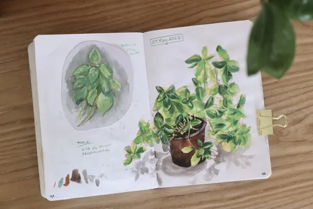 watercolour paintings of a basil plant