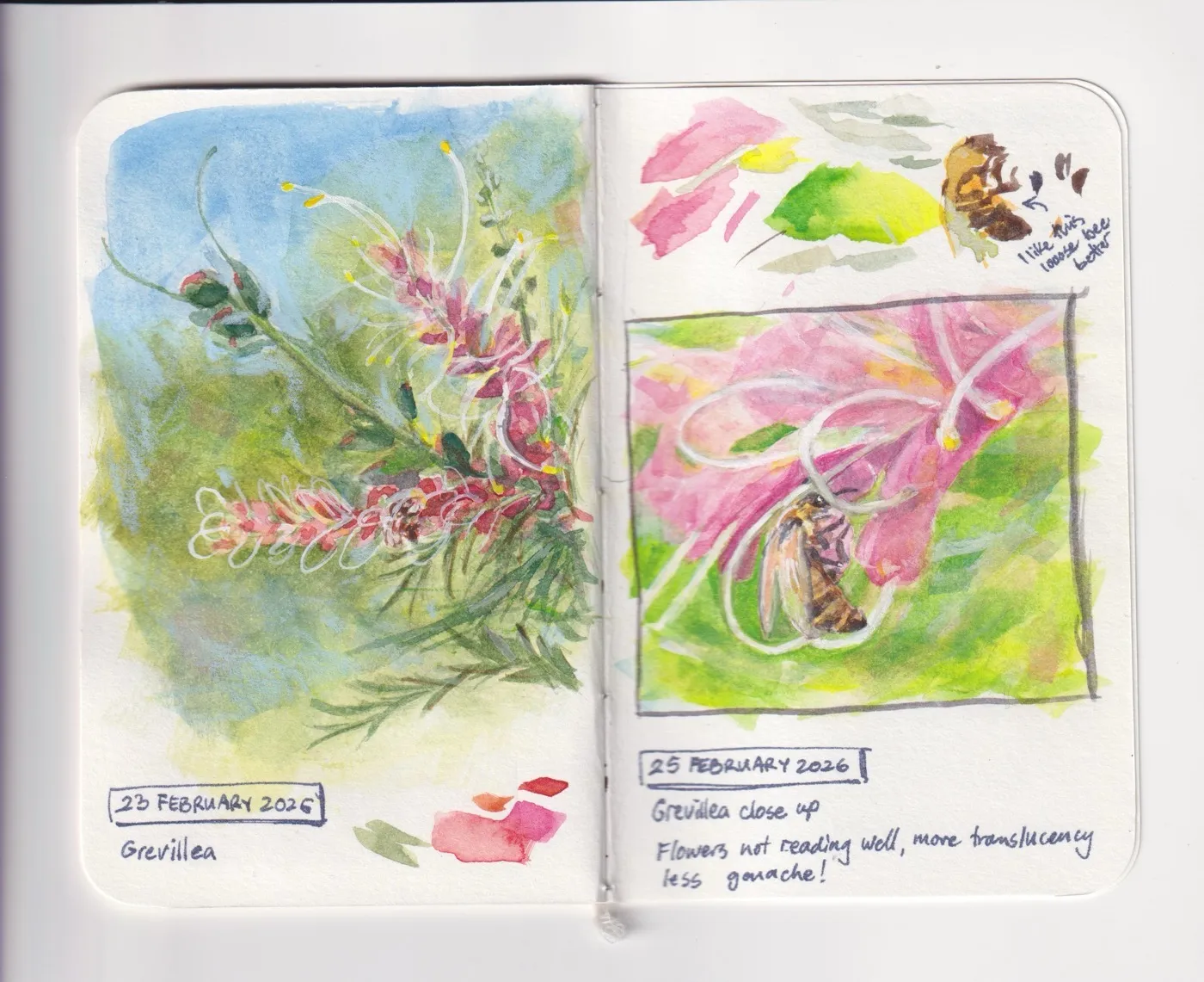 Sketchbook pages