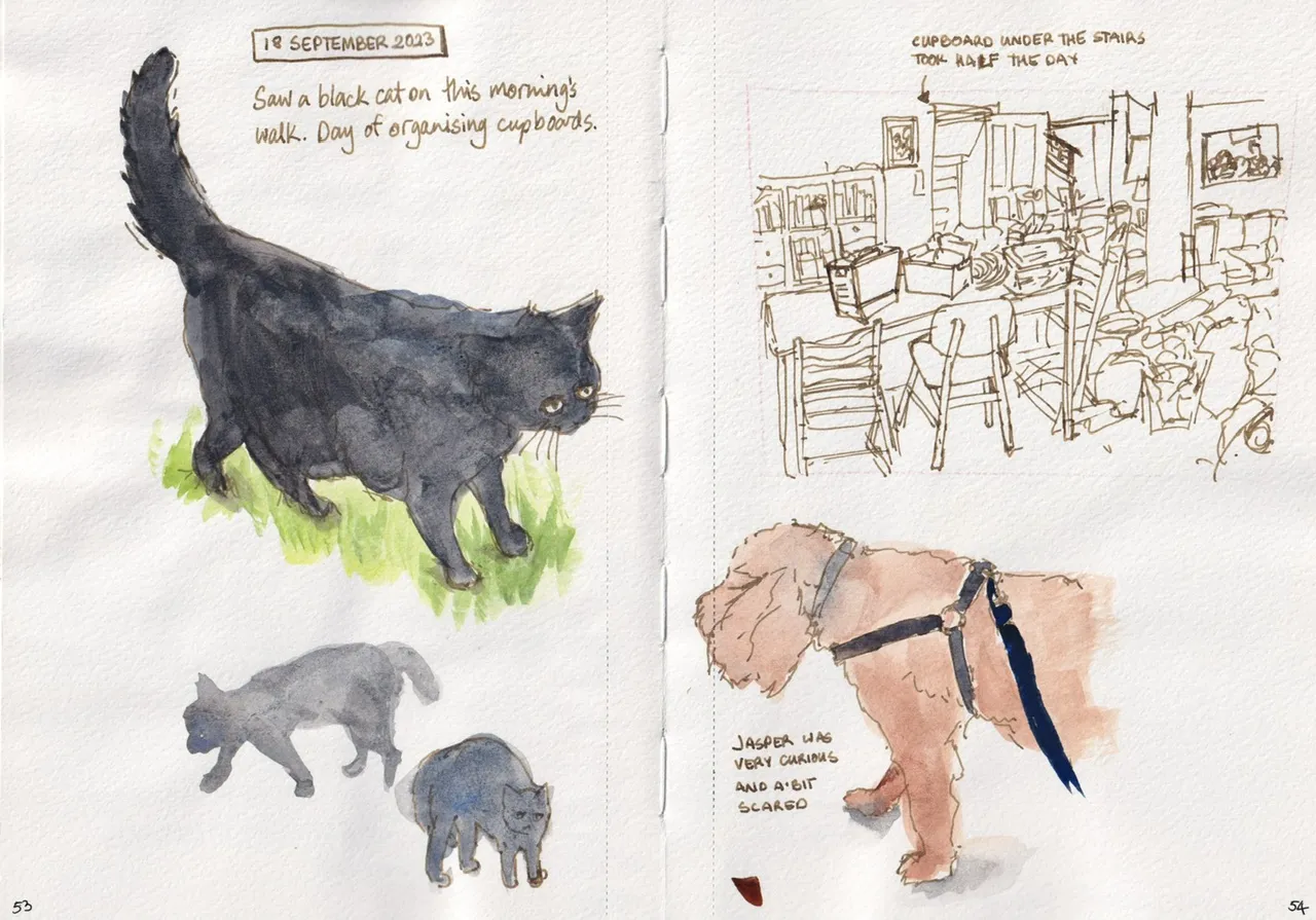watercolour sketches of a black cat and my dog, ink sketch of a room in disarray as I was organising a cupboard