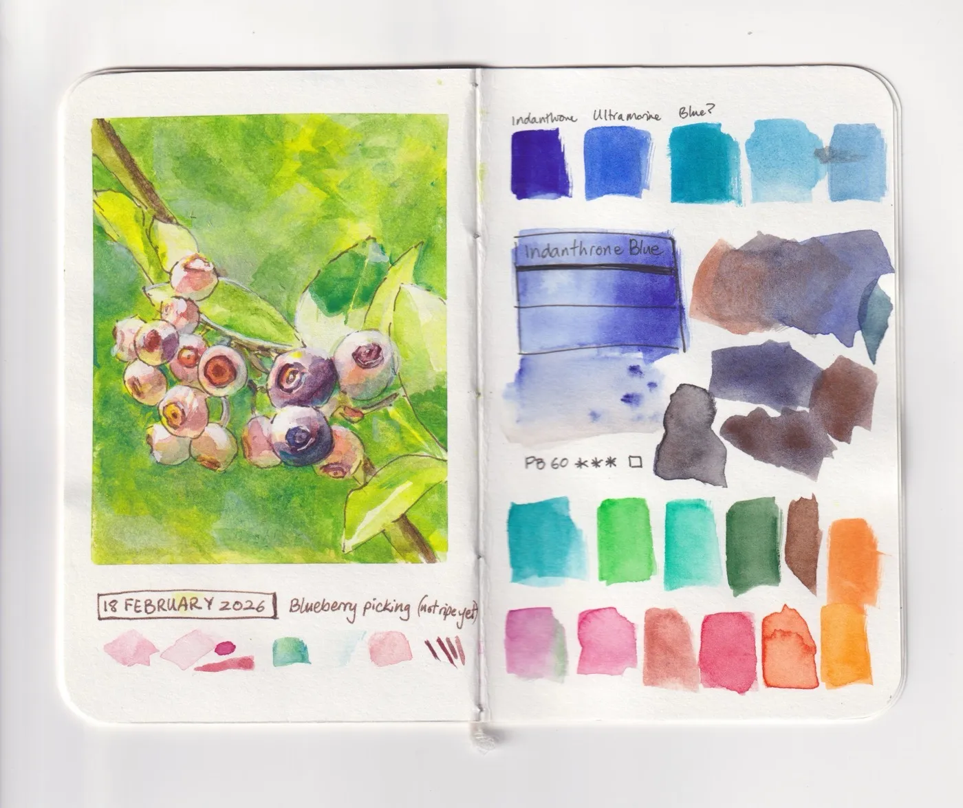 Sketchbook pages
