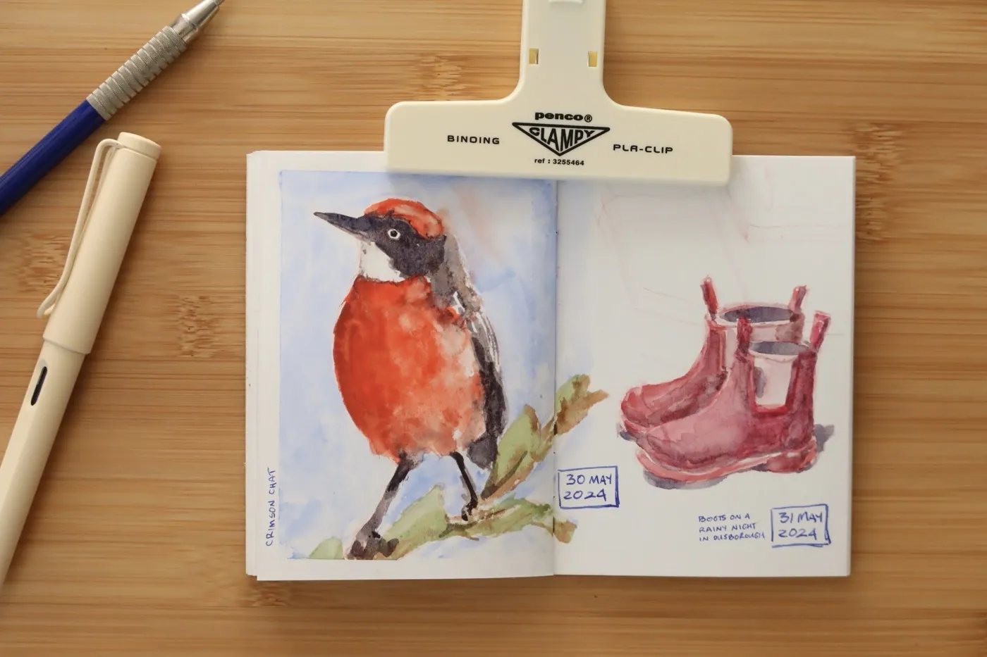 Watercolour sketches of birds
