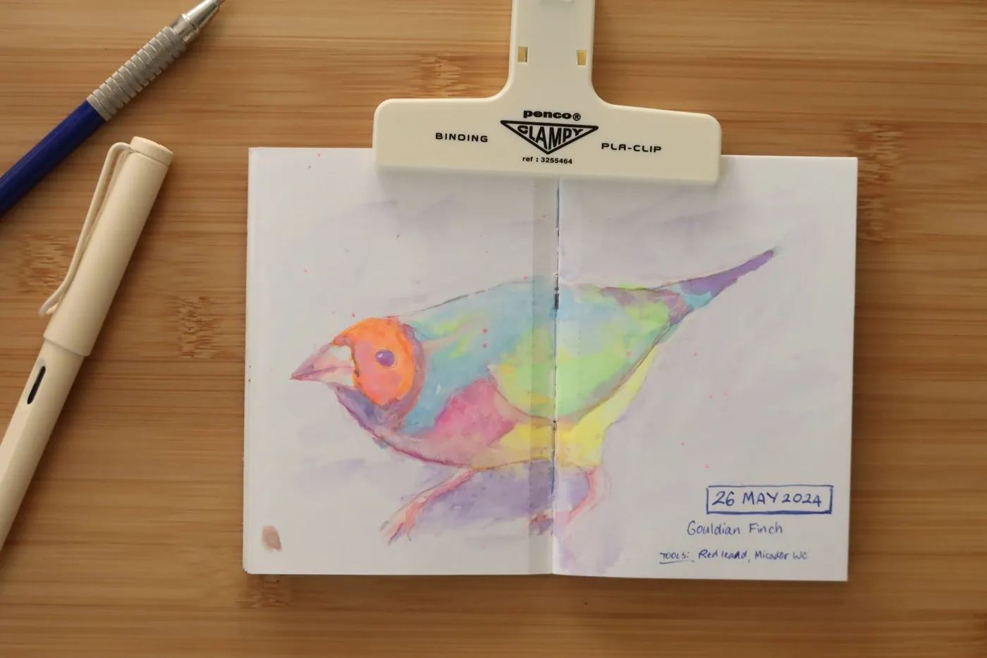 Watercolour sketches of birds