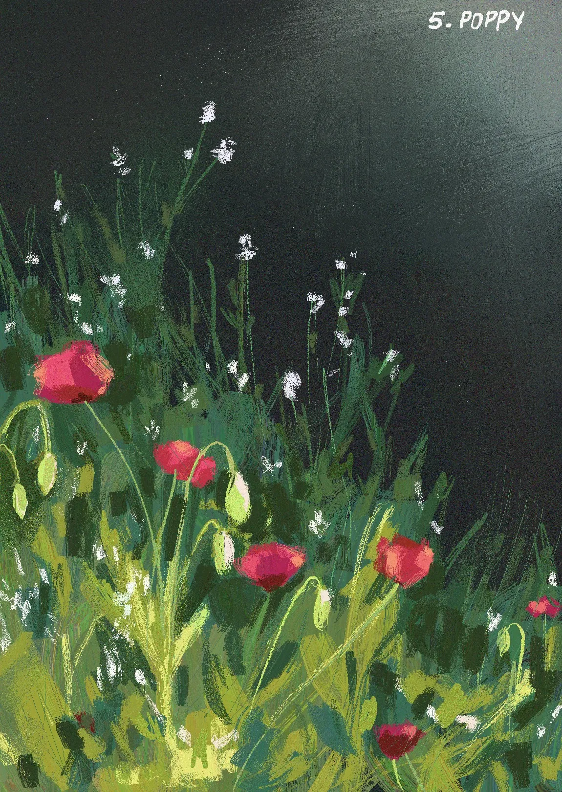 Digital sketch of poppies