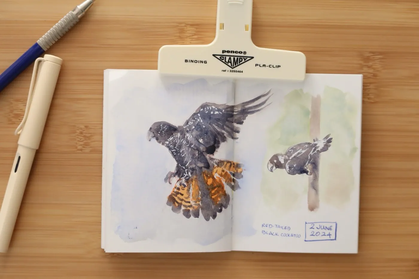 Watercolour sketches of birds