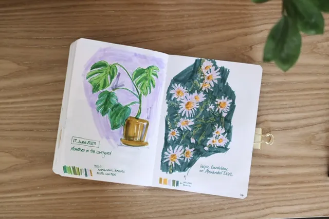 marker sketches of a monstera plant and purple daisies