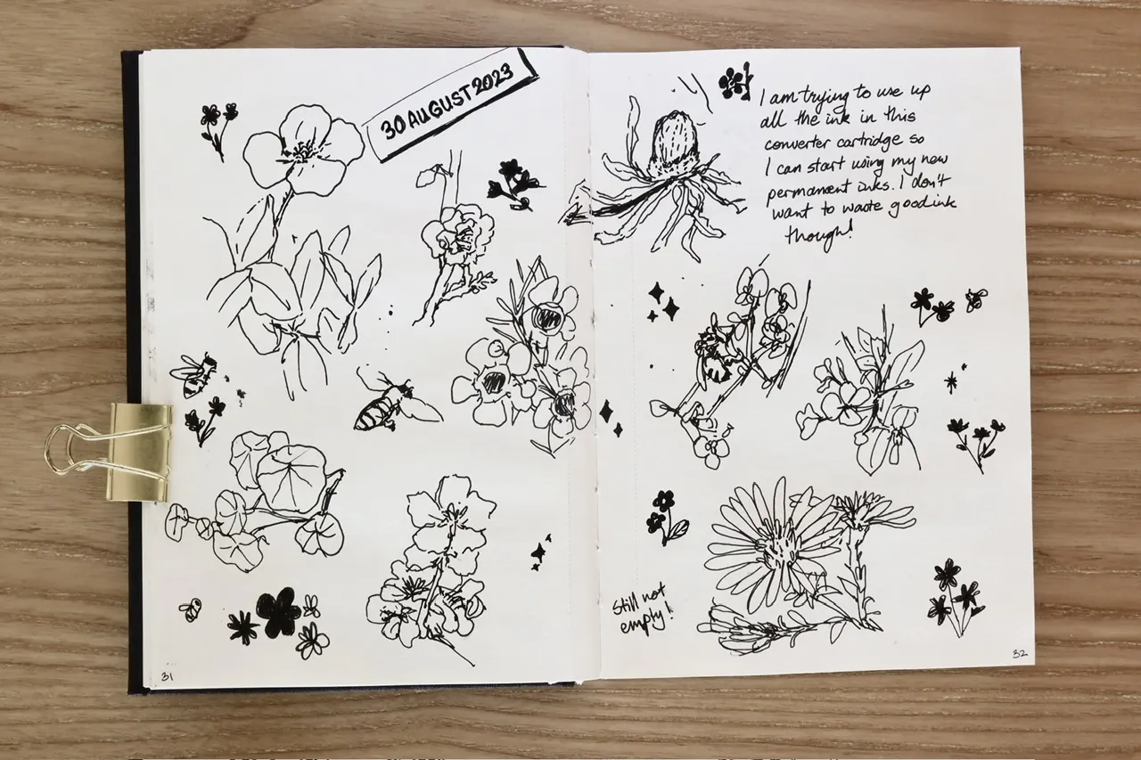 ink sketches of flowers, plants and bees, as I tried to use up an ink cartridge