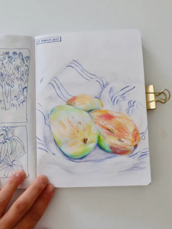 Photo of a sketchbook page - mango study, crayons