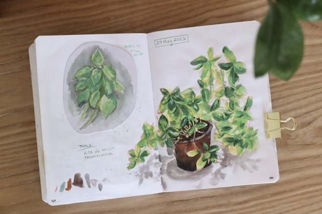 watercolour paintings of a basil plant