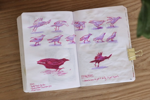 marker sketches of a crow hopping along