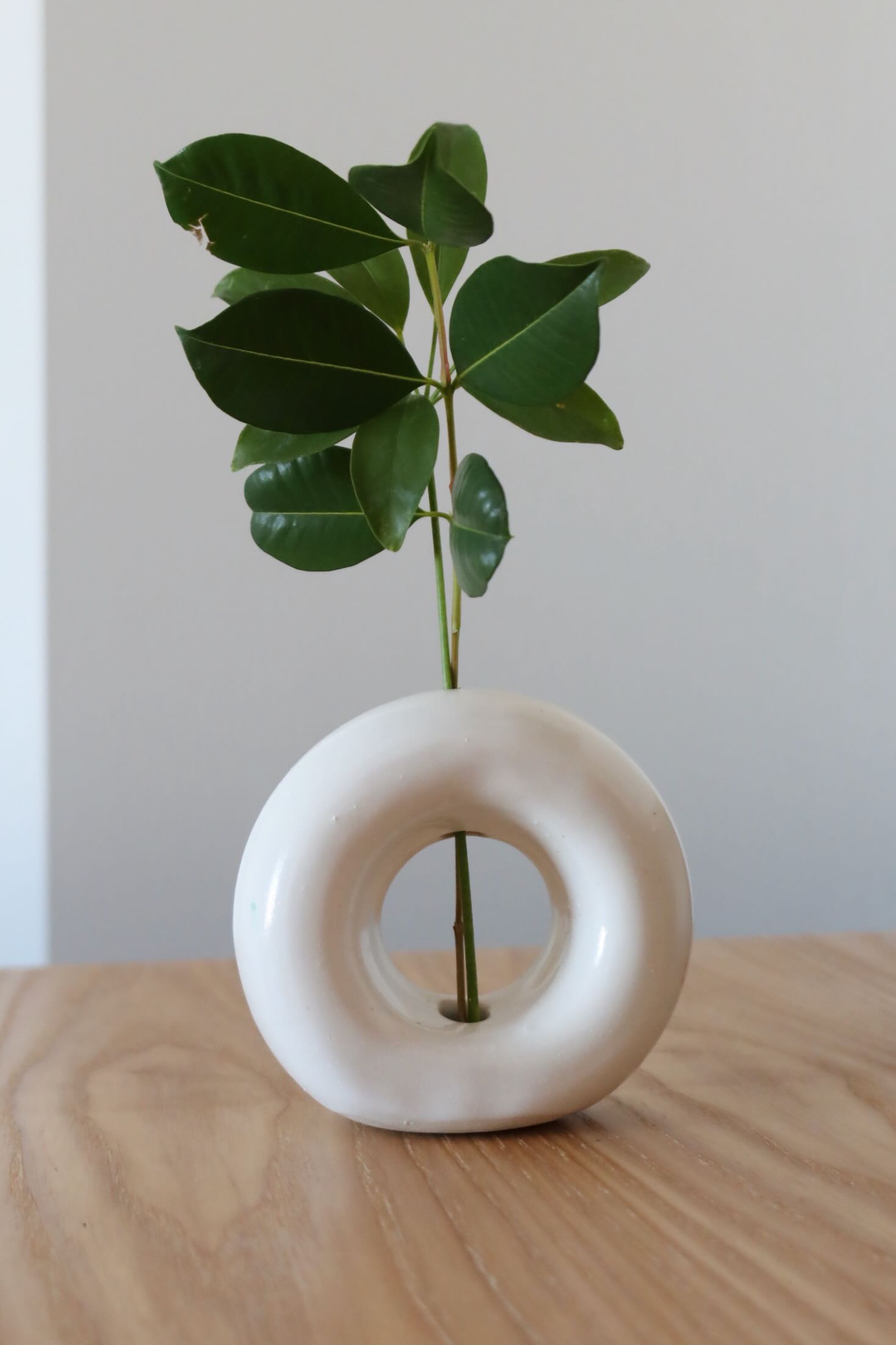 assets/ceramics1.jpeg|Photo of a ceramic vase shaped like a donut with a stem in it