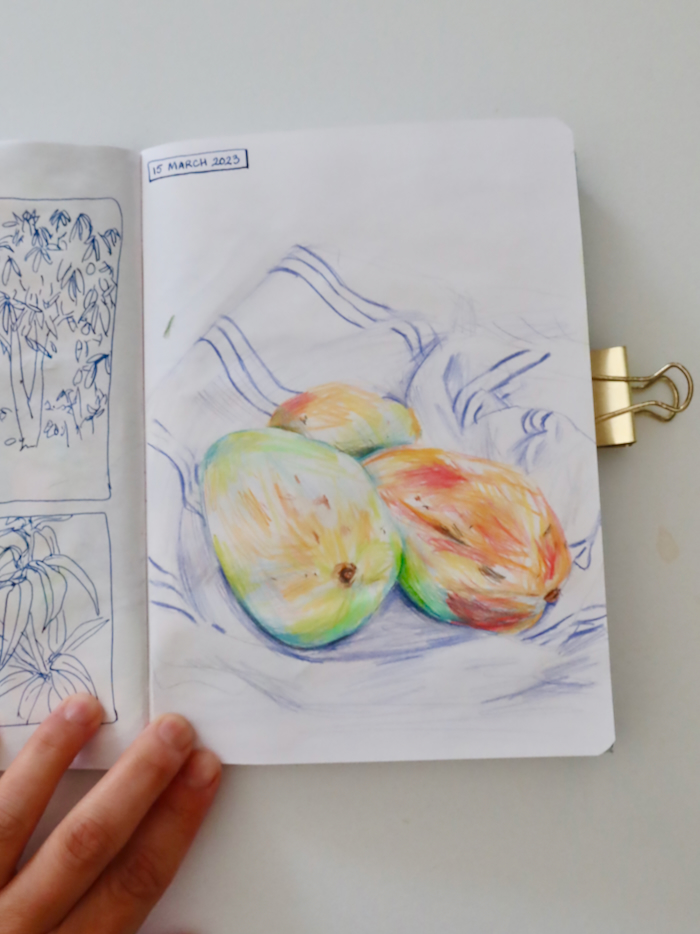mangoes - 1.jpeg|Photo of a sketchbook page - mango study, crayons