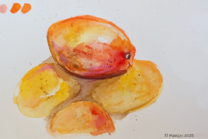 mangoes - 2.jpeg|Photo of a sketchbook page - mango study, watercolour