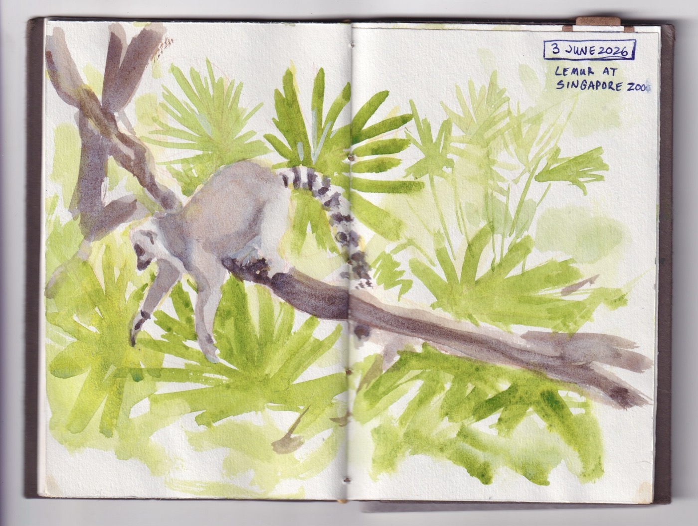 assets/singapore 12.jpeg|Watercolour sketch