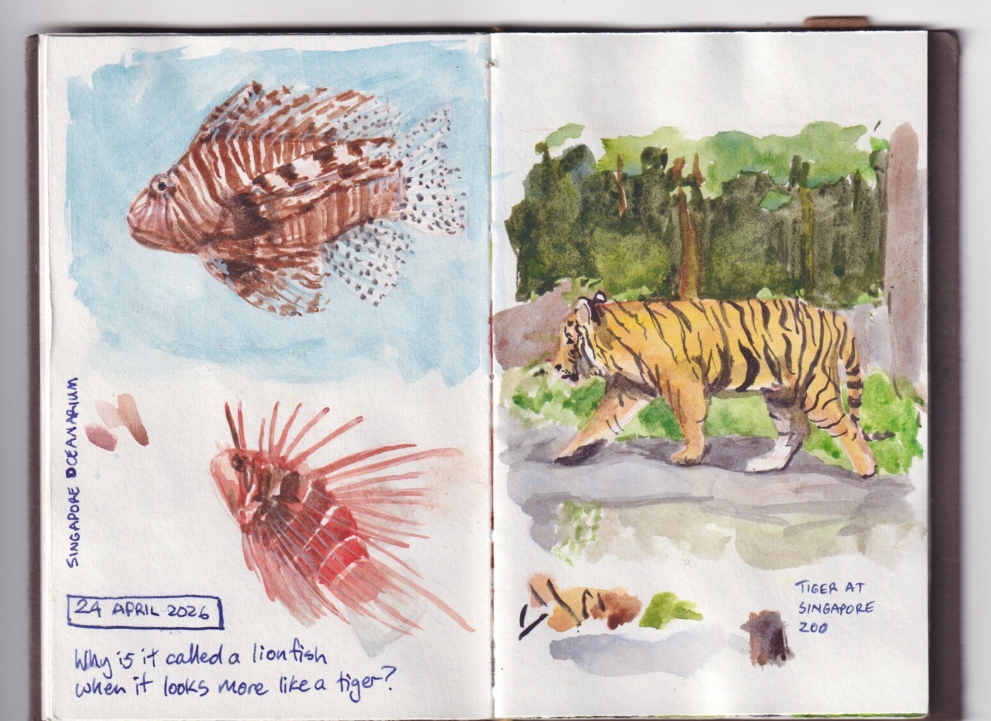 assets/singapore 5.jpeg|Watercolour sketch