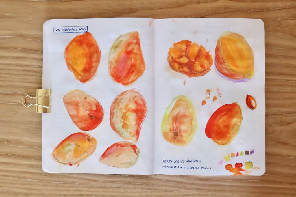 Photo of a sketchbook page - mango studies in watercolour + pencil