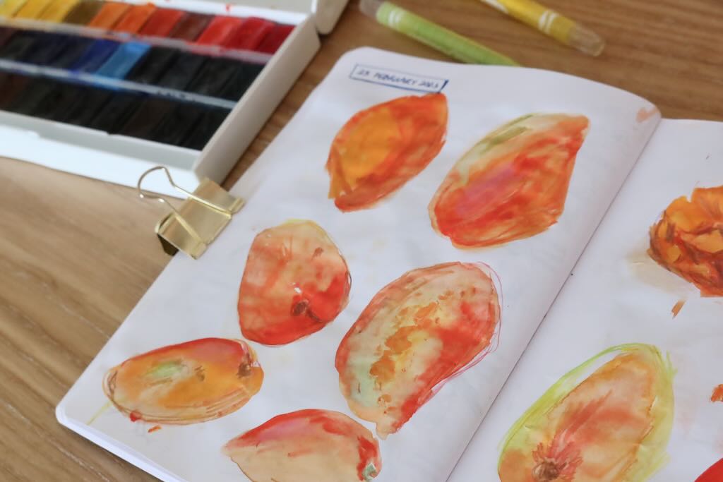 Photo of a sketchbook page - mango studies in watercolour + pencil