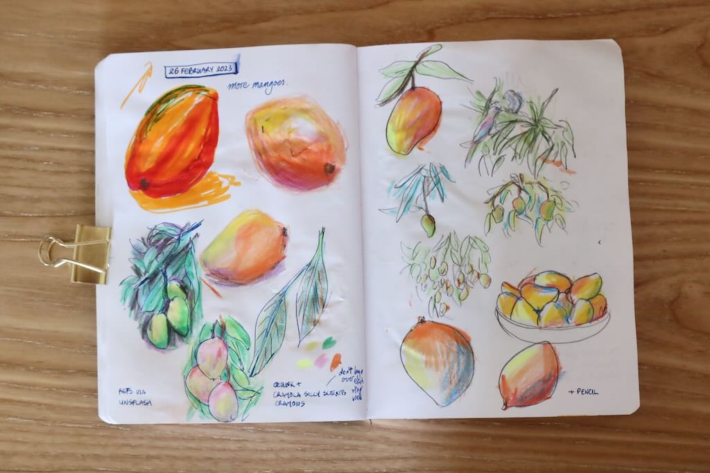 Photo of a sketchbook page - mango studies, various media