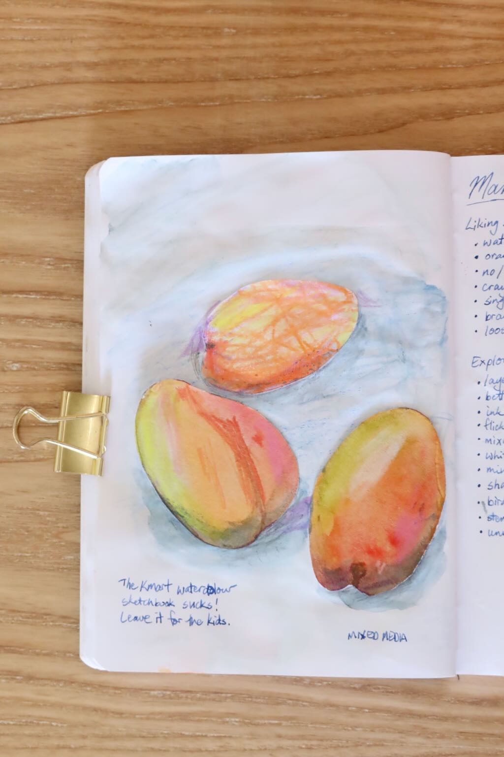 Photo of a sketchbook page - mango study, collage and watercolour