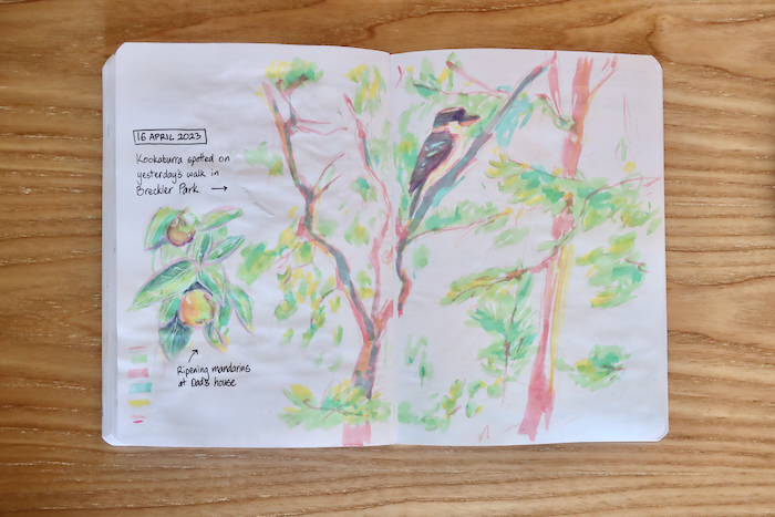 Photo of a sketchbook page - highlighter sketch of kookaburra in a tree