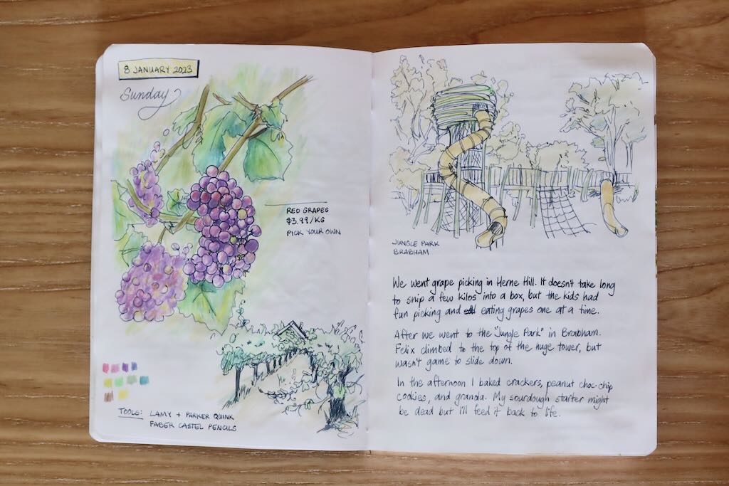 Photo of a sketchbook page - journal about picking grapes