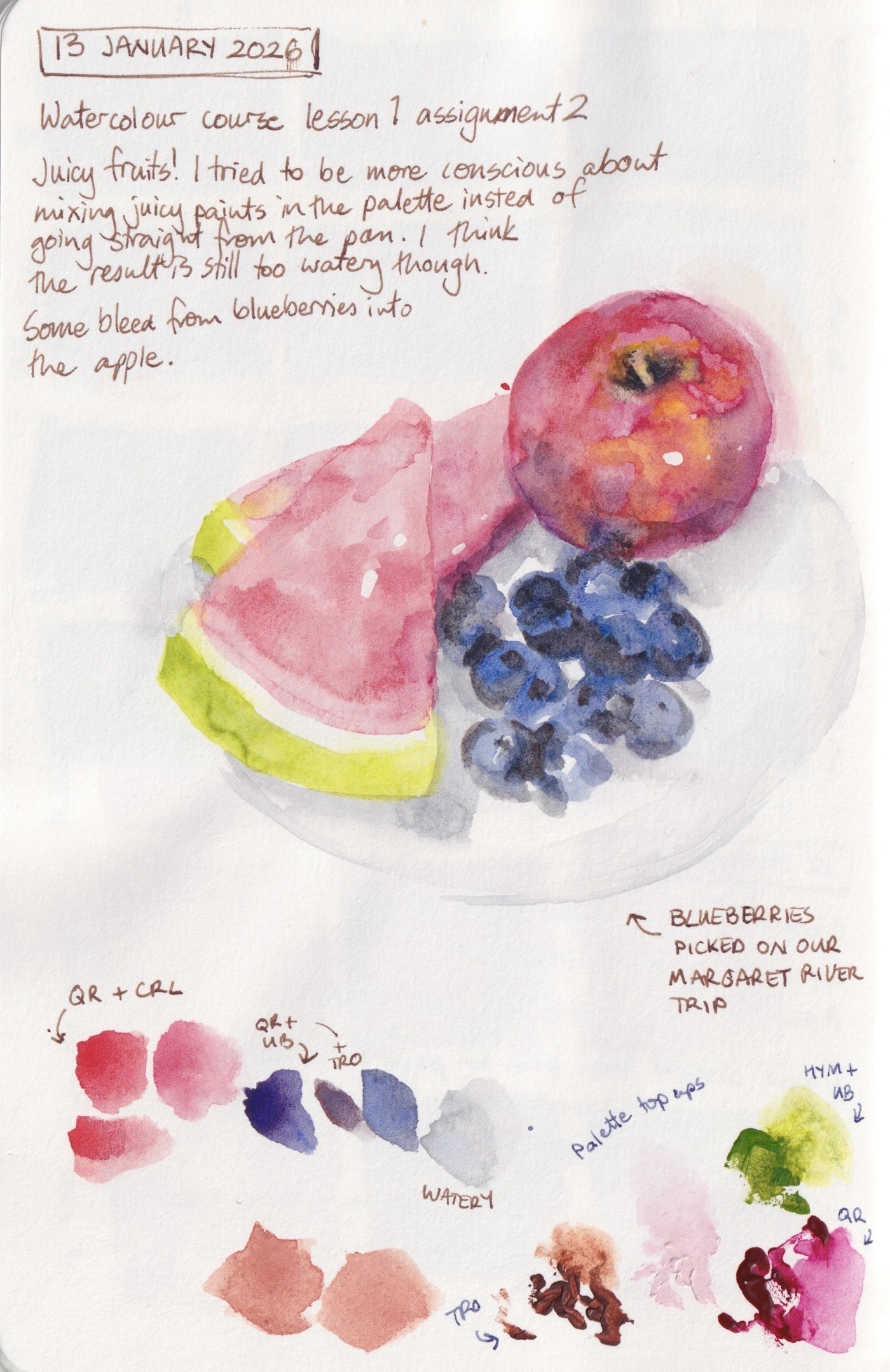 assets/sketching now watercolour course lesson 1 1.jpeg|Sketchbook pages 